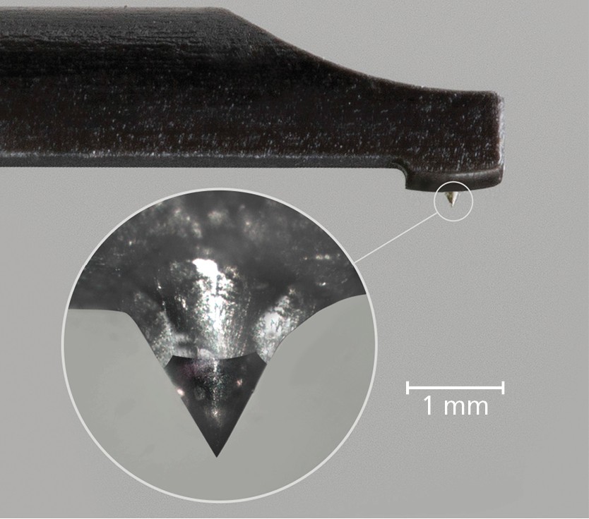 Fig 4.jpg